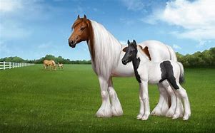 Image result for White Baby Horse with No Background