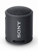 Image result for Sony Portable Speaker with Microphone