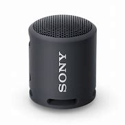 Image result for Sony Speaker Head