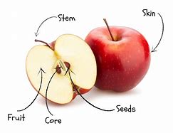 Image result for Apple Labeled