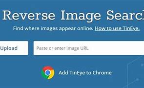 Image result for Google Search People Free Site