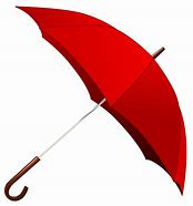 Image result for Transparent Umbrella Front View