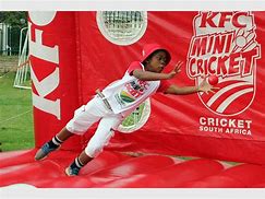 Image result for Mini Cricket Bat