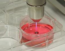 Image result for Plasma Product