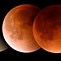Image result for Lunar Eclipse On Earth
