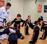 Image result for Martial Arts Stores School