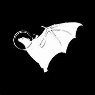 Image result for Space Bat Meme