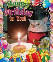 Image result for Girl Cat Birthday Meme