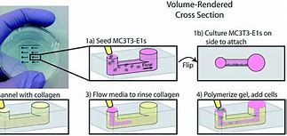 Image result for Smart Cell Culture Device