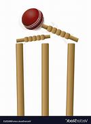 Image result for Light Wicket Cricket