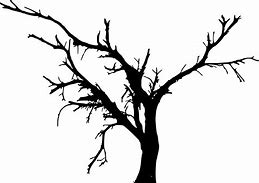 Image result for Tree Top Silhouette PNG