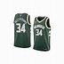 Image result for Giannis Jersey Color