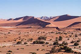 纳米比亚沙漠 的图像结果
