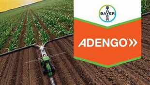 Image result for adengro