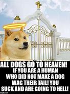 Image result for Dog Rainbow Meme Heaven