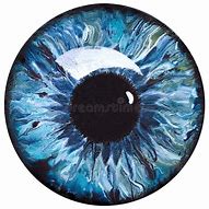 Image result for Iris Eye Art