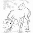 Image result for Horse Eating Cartoon