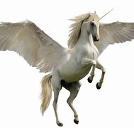 Image result for Unicorns Are Real Quote
