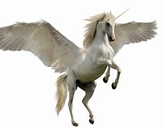 Image result for Fairies Riding Unicorns