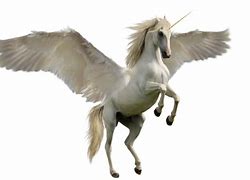 Image result for You Are a Unicorn Meme