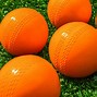 Image result for Cricket Ball