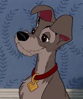 Image result for Disney Lady and the Tramp Dogs