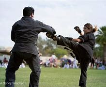 Image result for Martial Arts Phoenix Punch