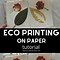 Image result for Eco Printing SD
