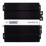 Image result for Class D 2 Channel Amp