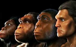 Image result for Ape People