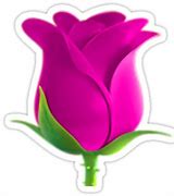 Image result for Rose iPhone Emoji