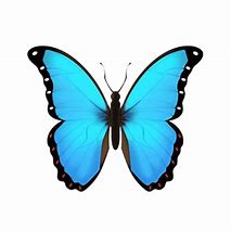 Image result for Aesthetic Butterfly Emoji