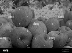 Image result for Black Oxford Apple