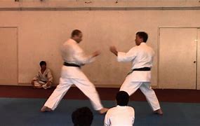 Image result for wado ryu martial arts
