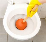 Image result for DIY Unclog Toilet
