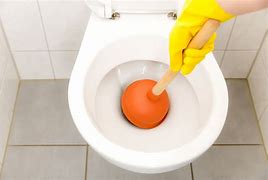 Image result for DIY Unclog Toilet