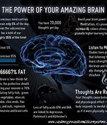 Image result for Facts About Brain