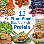 Image result for Vegetarian Diet Protein Sources