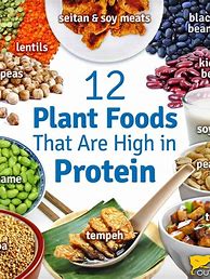 Image result for Vegetarian Protein Sources