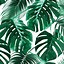 Image result for Background Daun Aesthetic