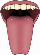 Image result for Tongue V Sign Clip Art