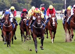 Image result for British Horse Racing