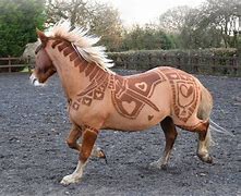 Image result for Mexican Horse Flank Pattern