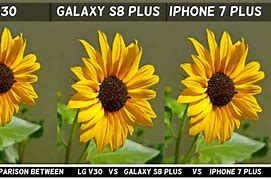 Image result for Galaxy S8 vs iPhone 7