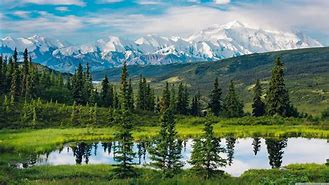 Image result for Wilderness Scenes for Lock Screen