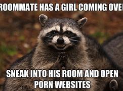 Image result for Evil Raccoon Meme