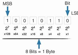 Image result for Binary Bites