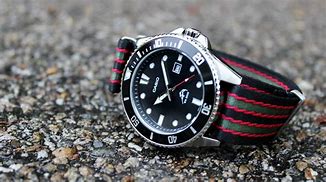 Image result for Casio Divers Watch