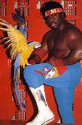 Image result for Old School WWF Wrestling