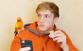 Image result for Funny Vines YouTube